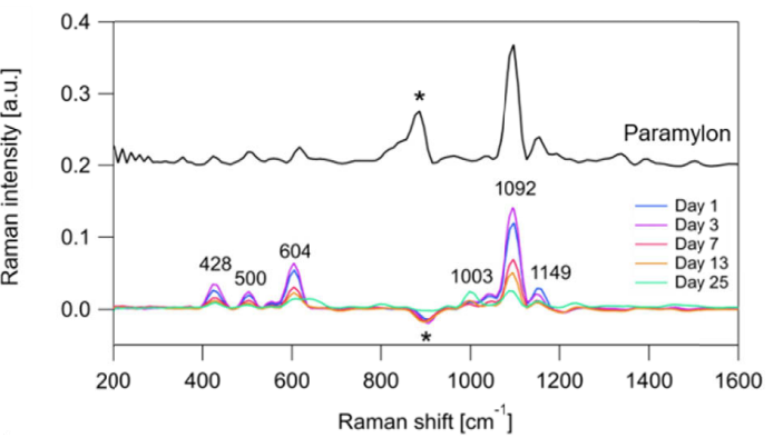 Detection of Intracellular Target Substances Using Raman Scattering Light
