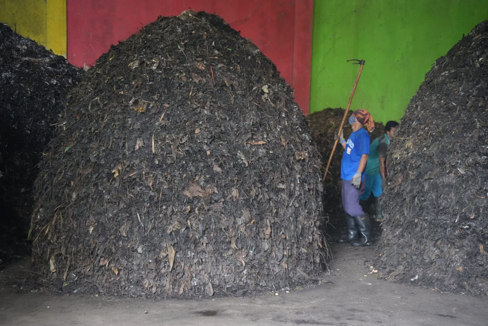 Tour of an organic waste recycling facility in Jakarta