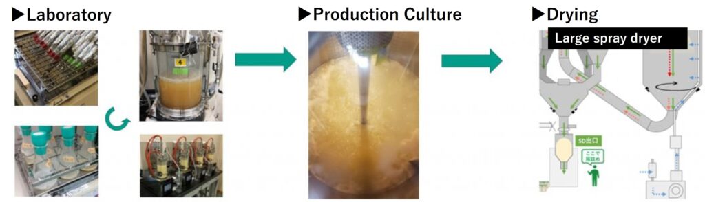 Image of aurantiochytrium production process
